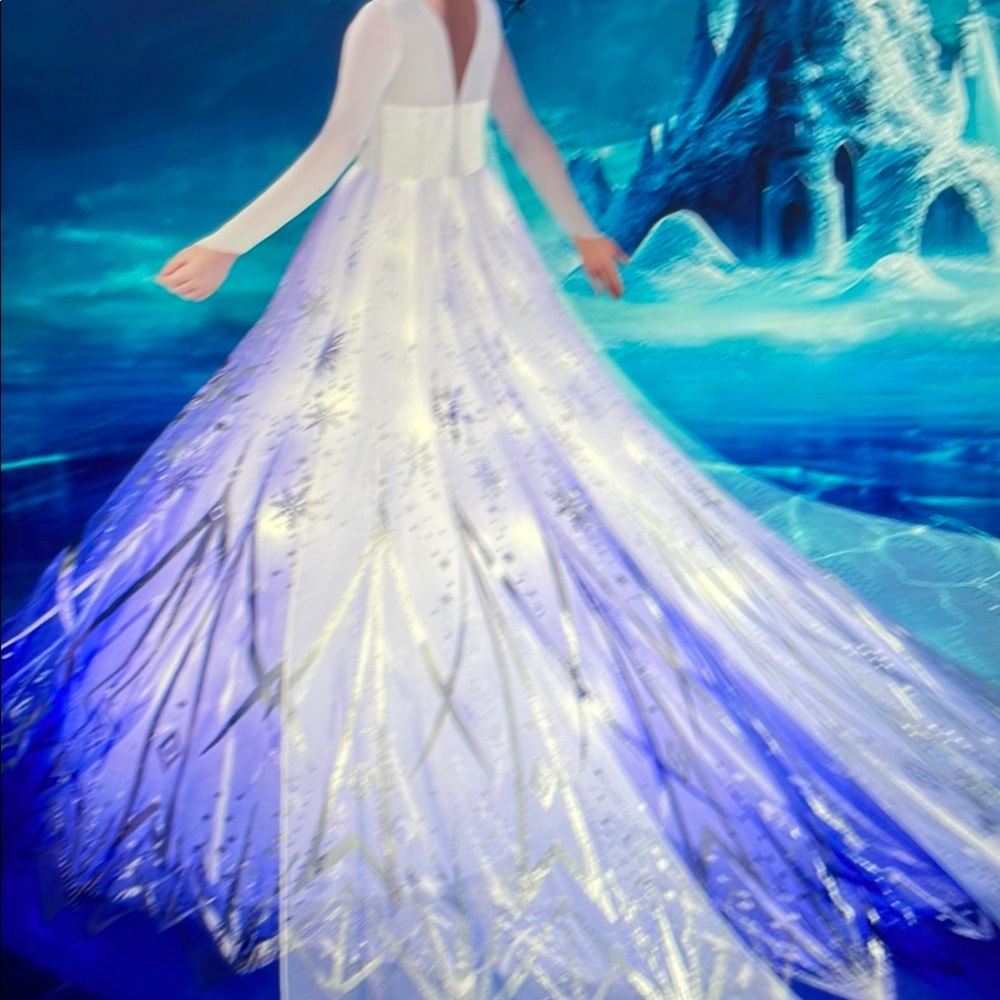 New LightUp Princess-for Girls DressUp Halloween/ChristmasElegant BlueWhite Gown